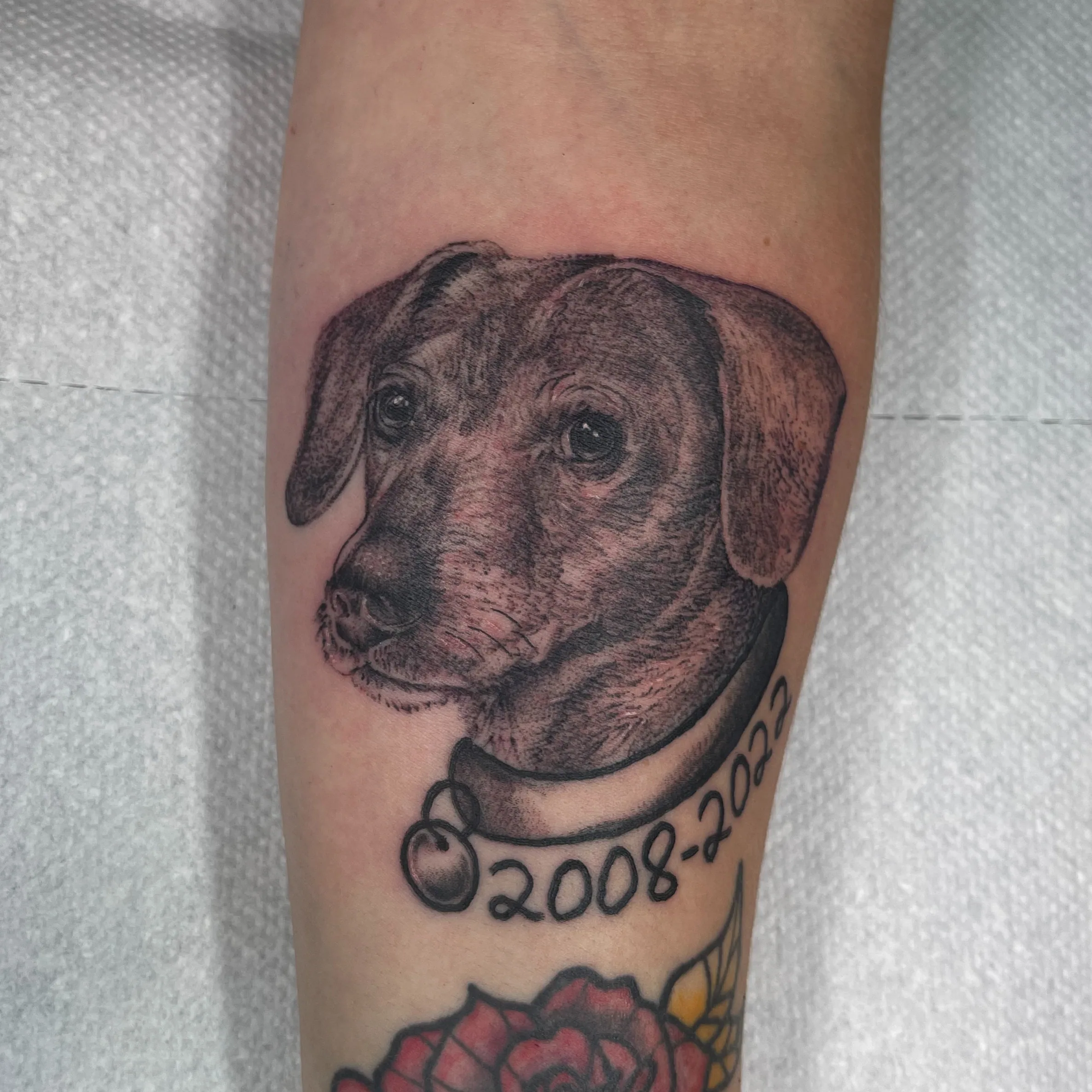 Tatouage black and grey