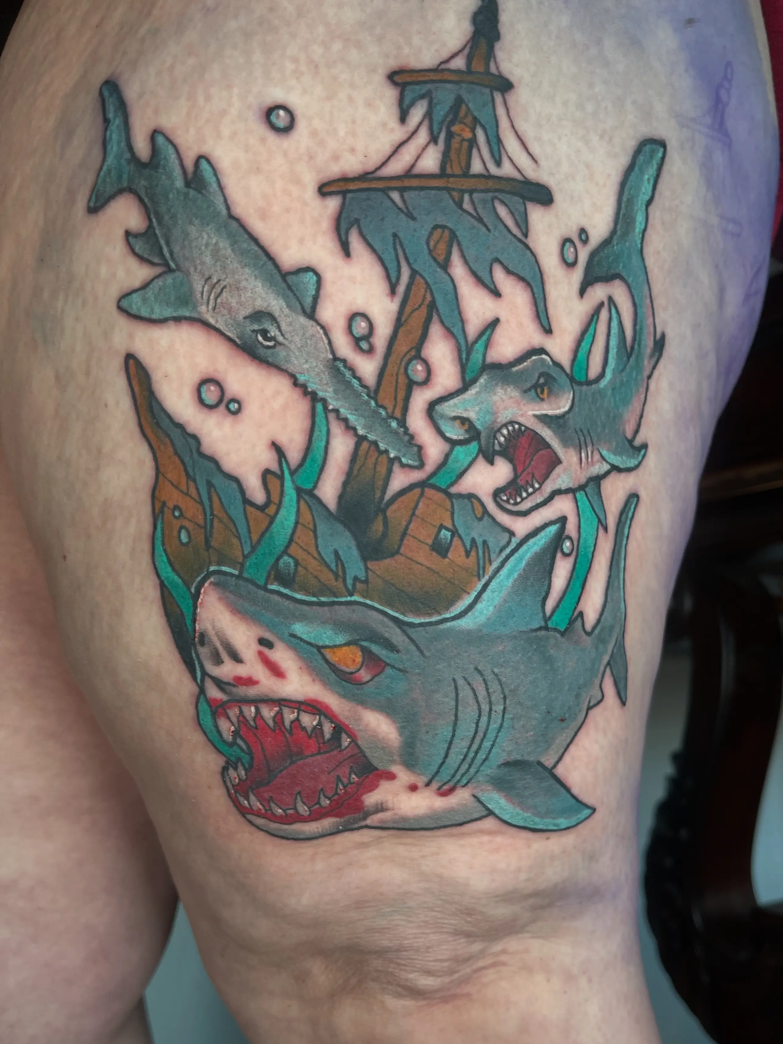 Requin neotrad